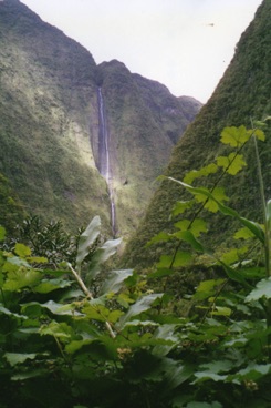 Cascade Blanche